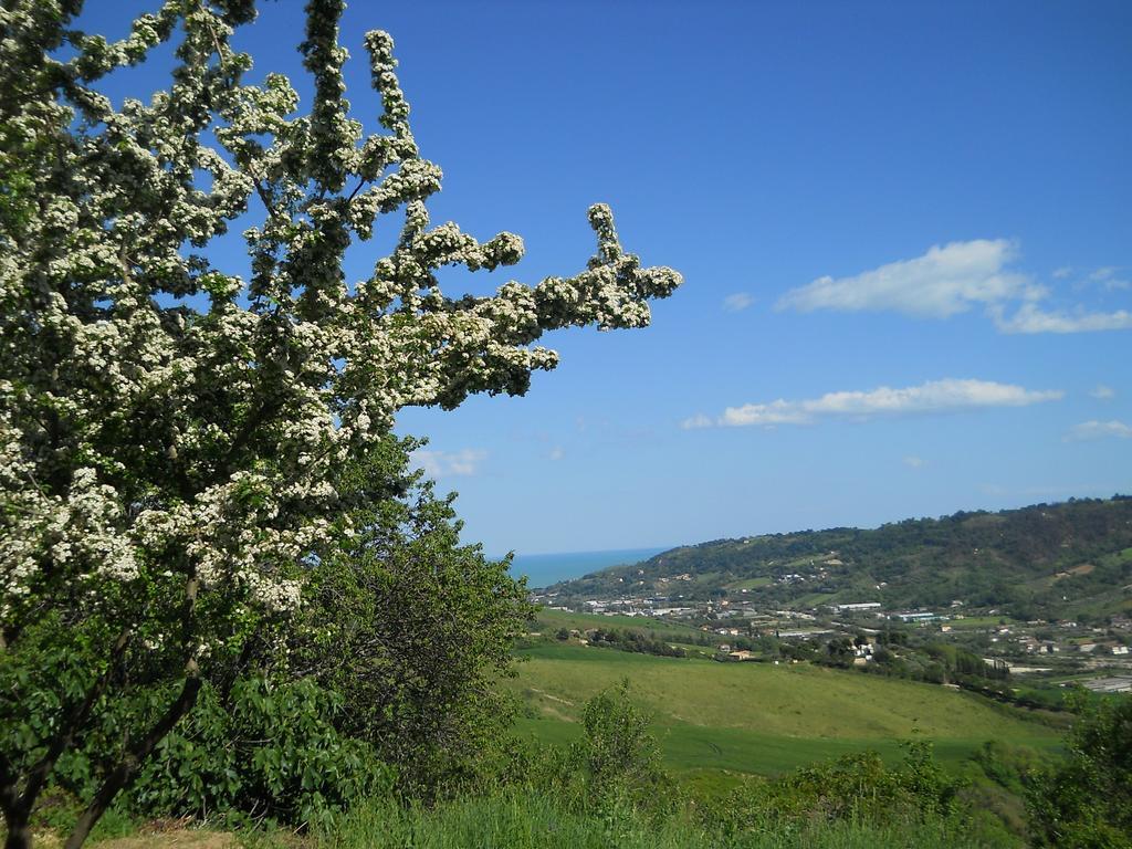 B&B Silent Valley Ripatransone Buitenkant foto